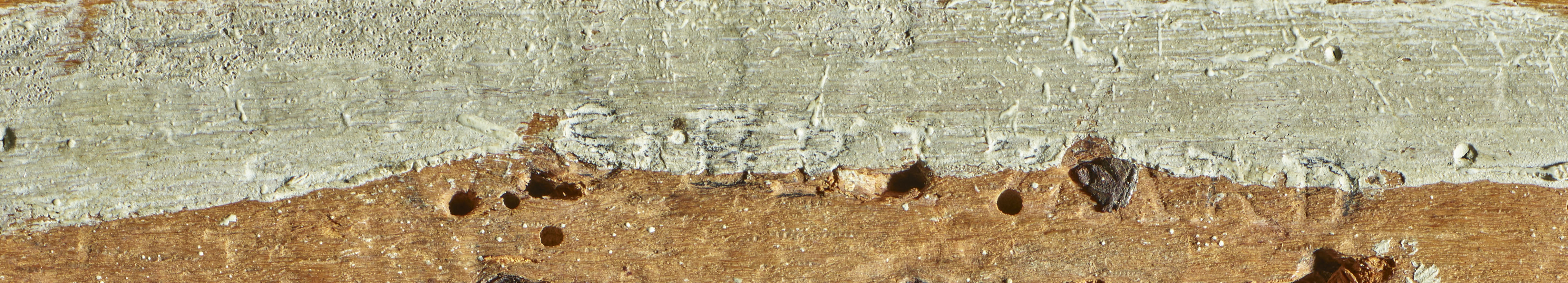 Loaded image