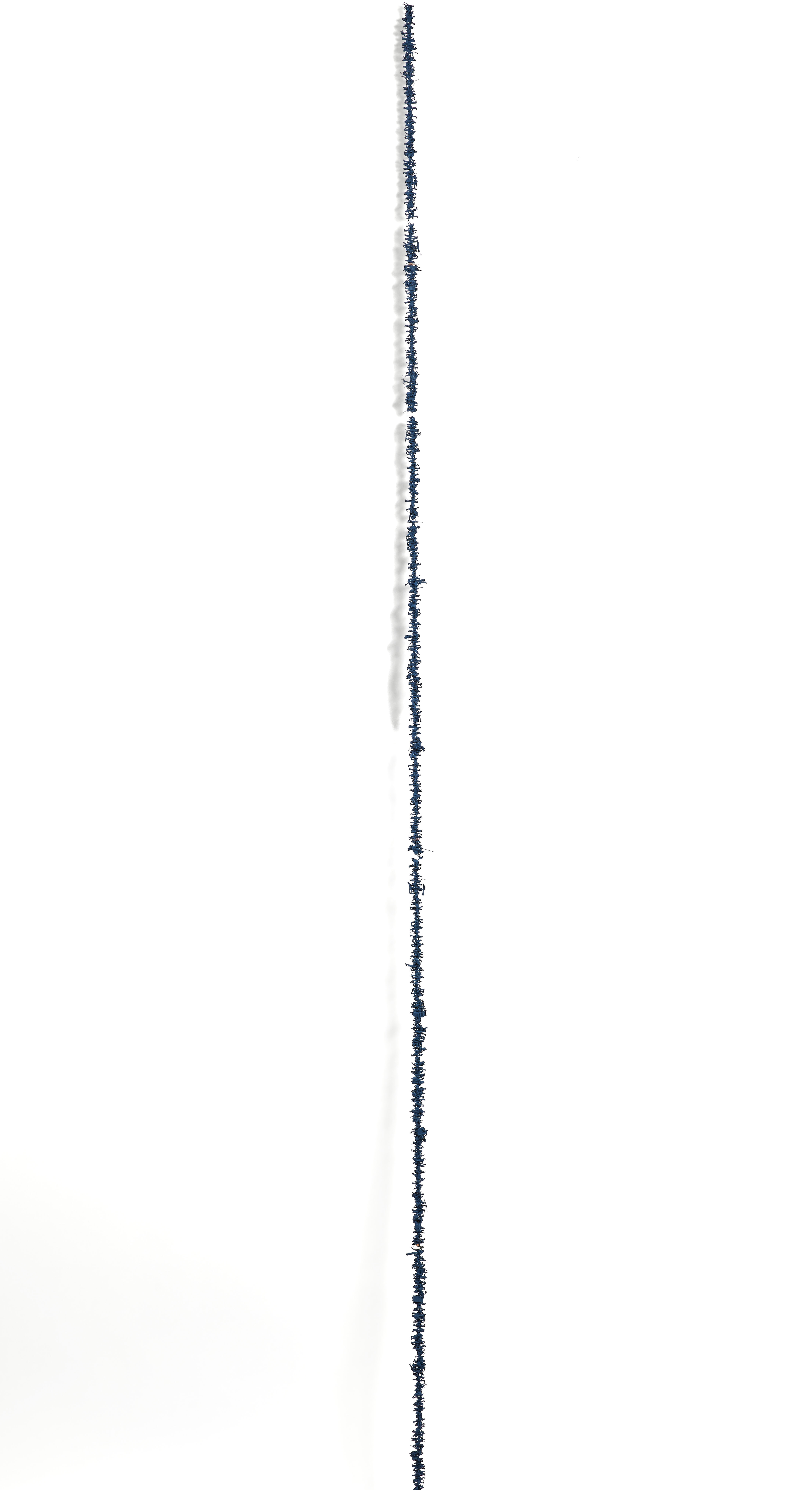 Loaded image