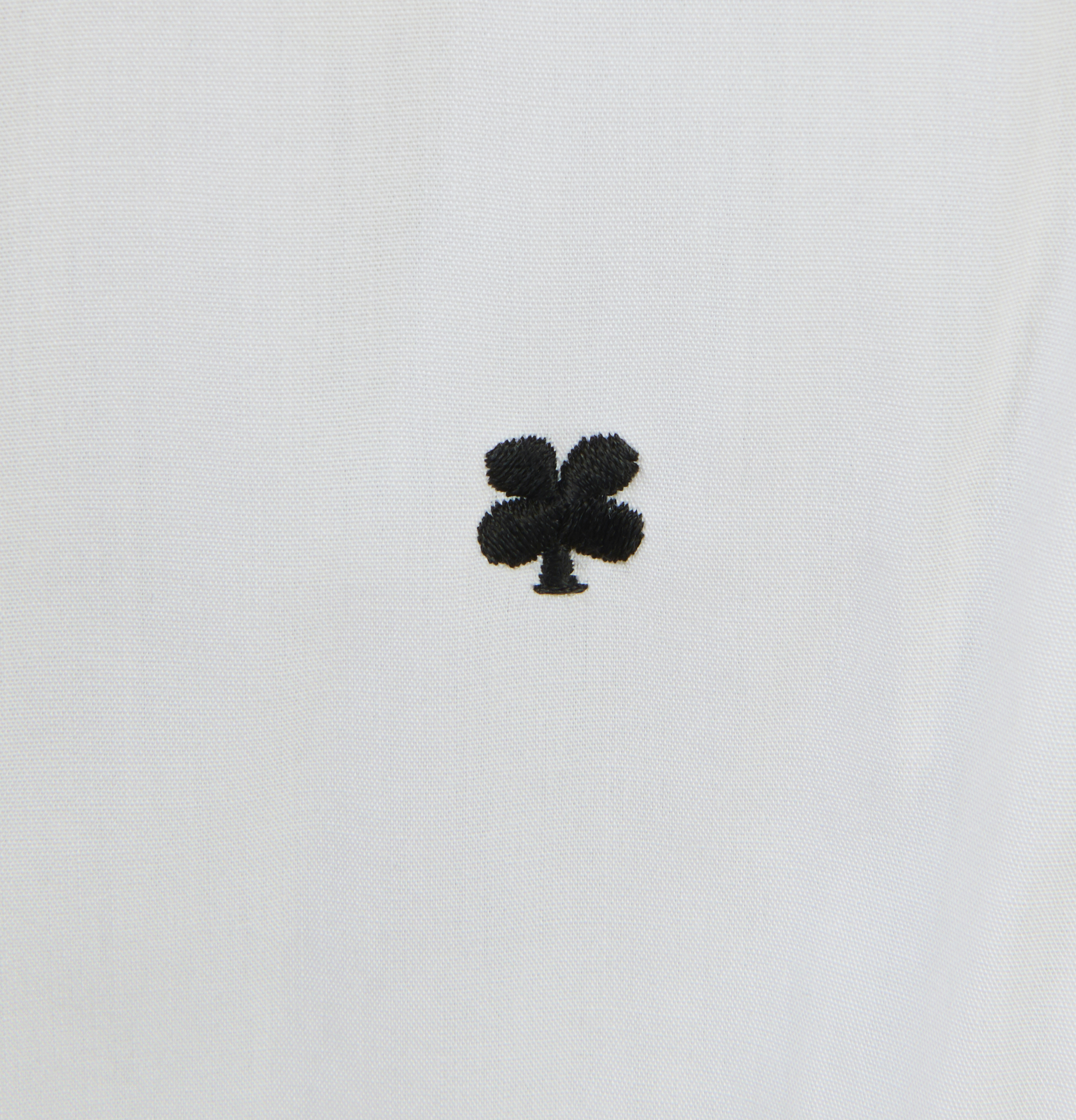 Loaded image