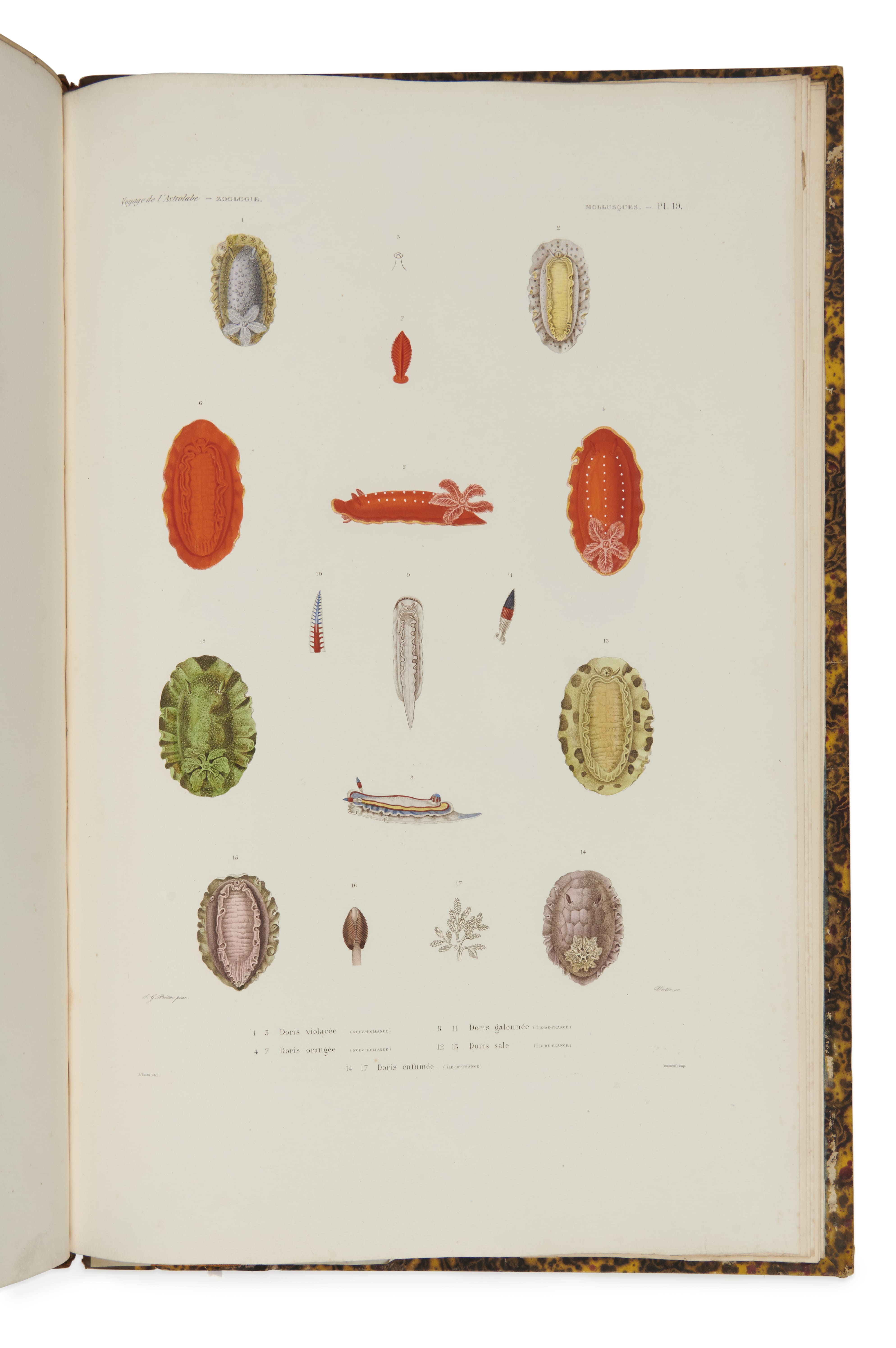 Loaded image