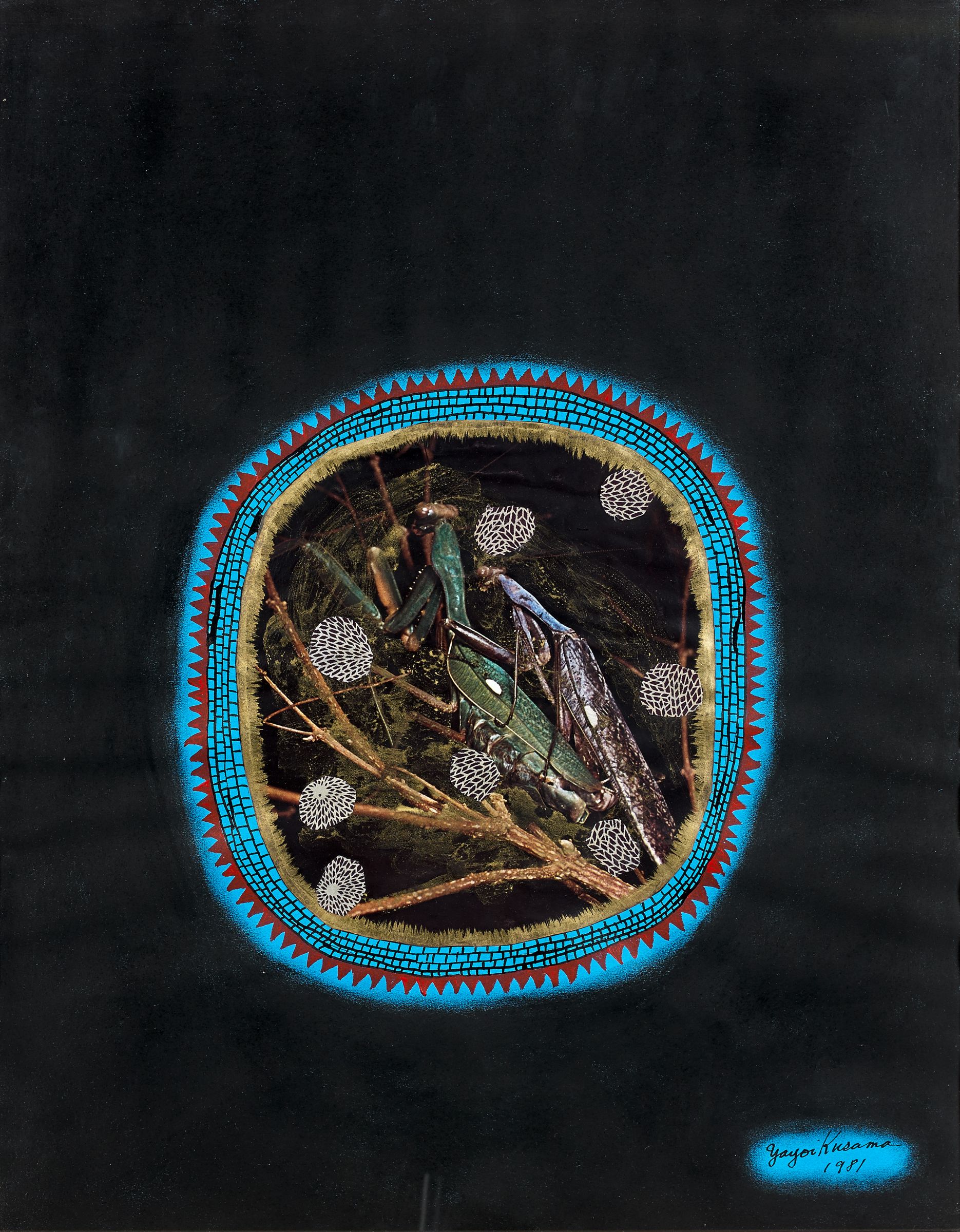 Loaded image