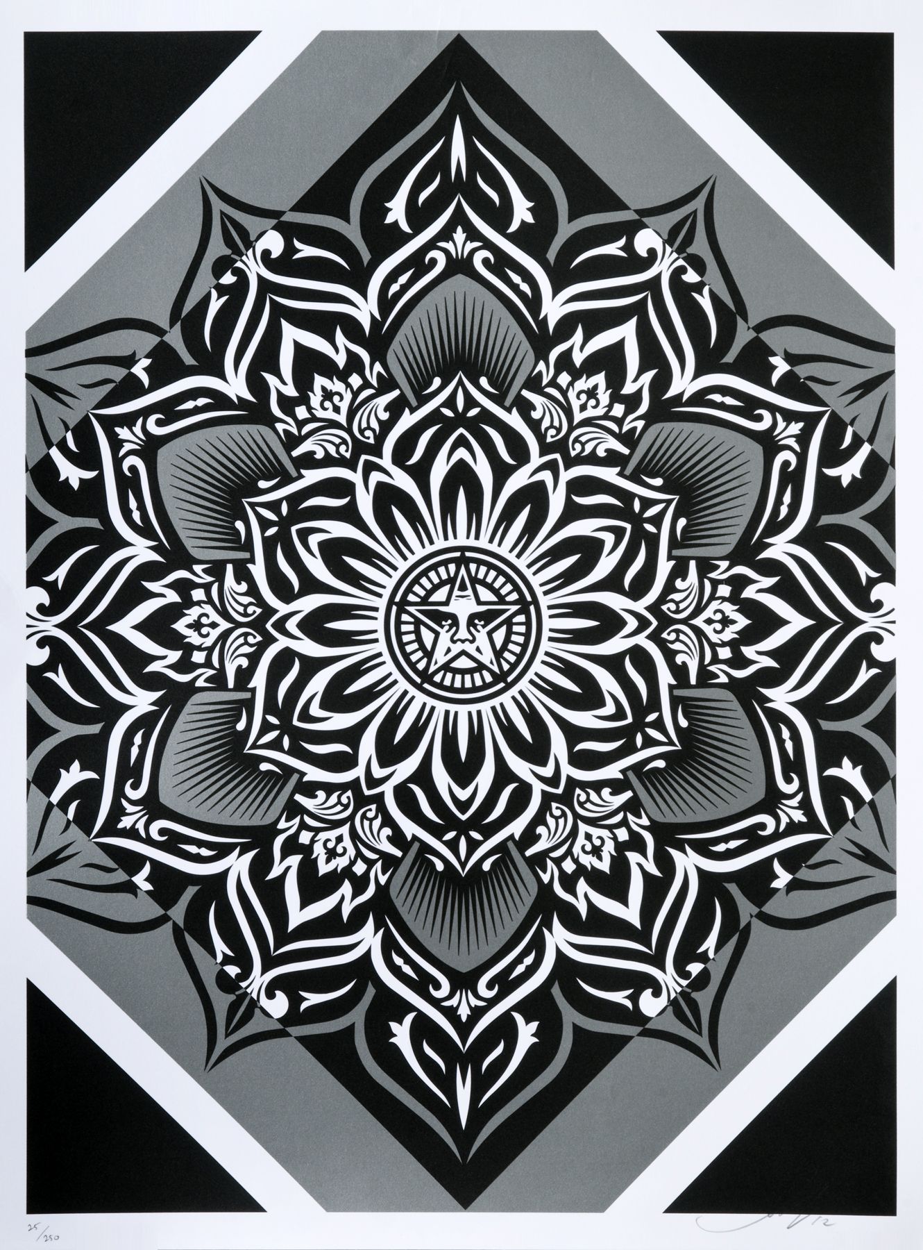 Loaded image