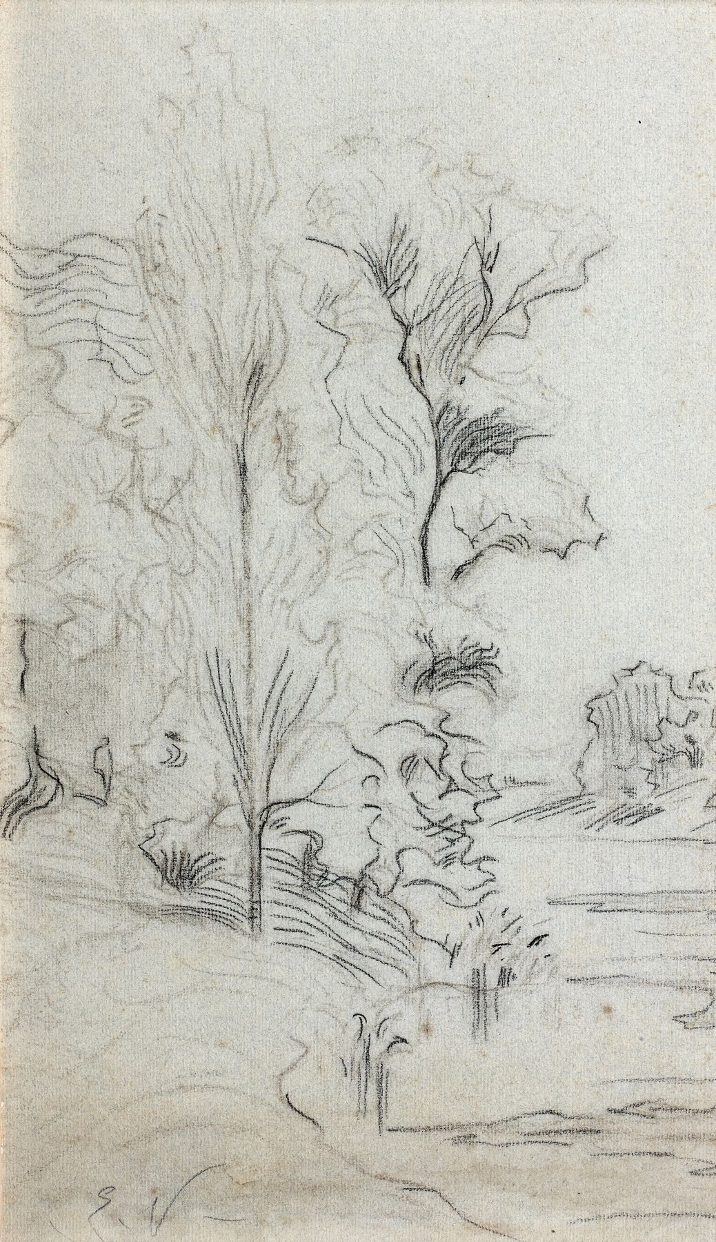 Loaded image