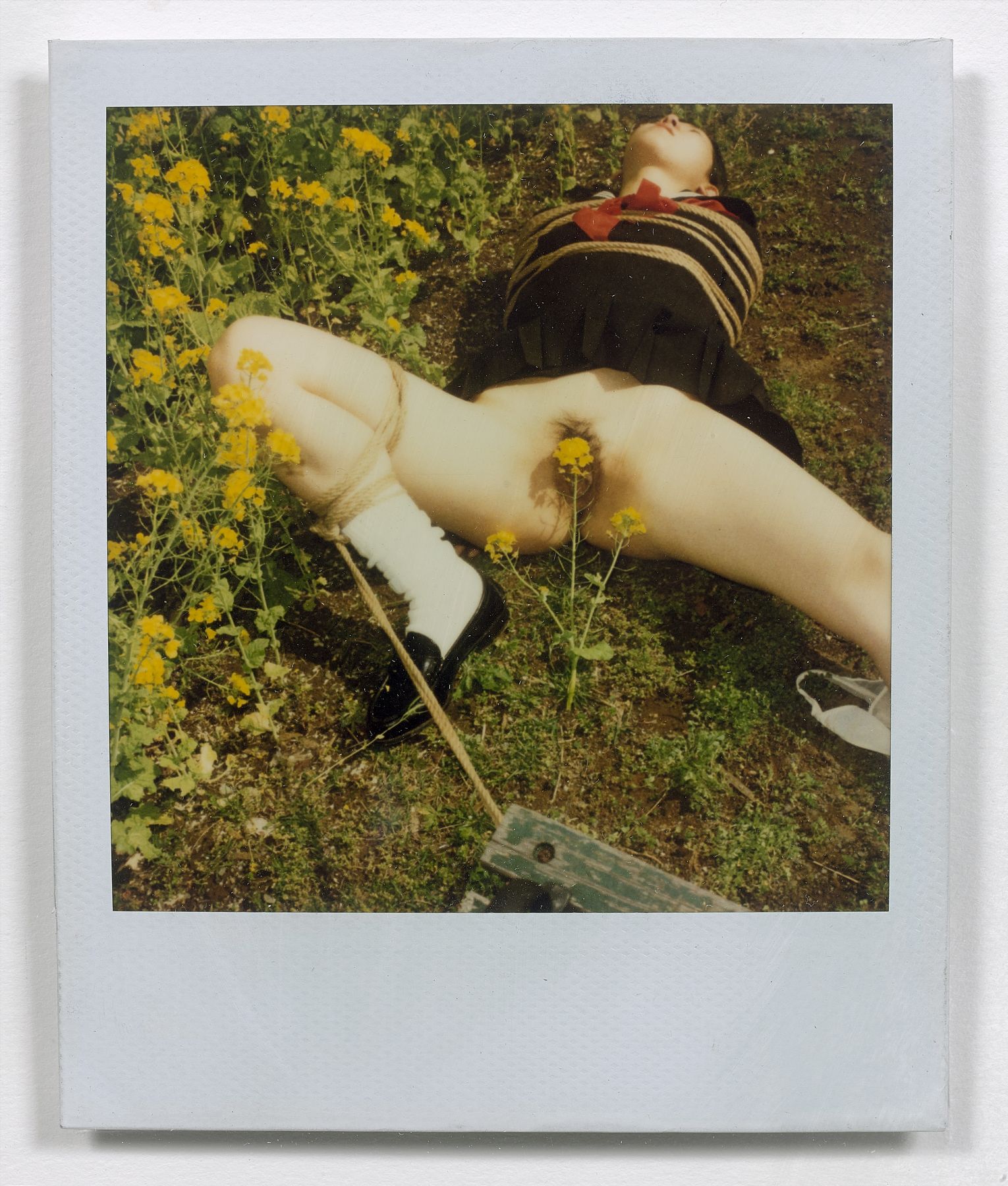 Loaded image