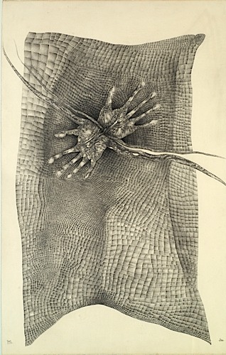 Loaded image
