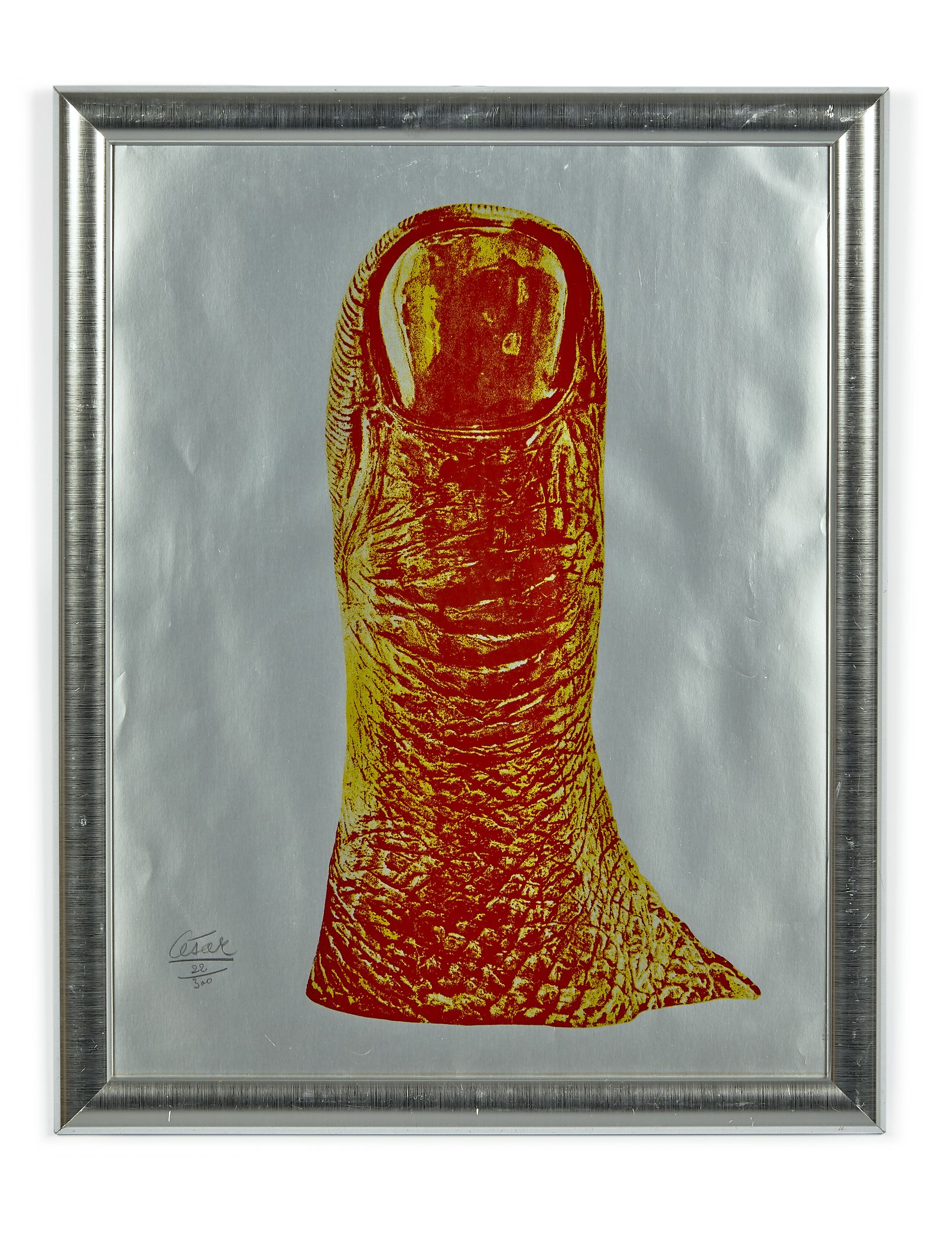 Loaded image
