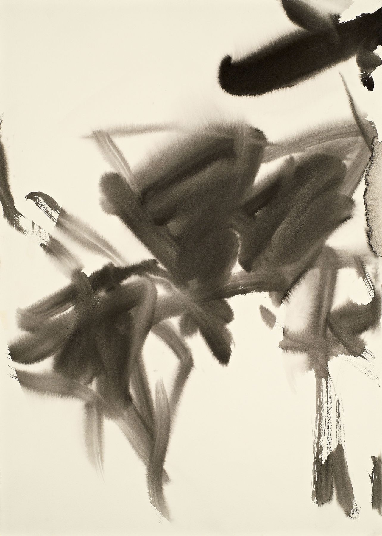 Loaded image