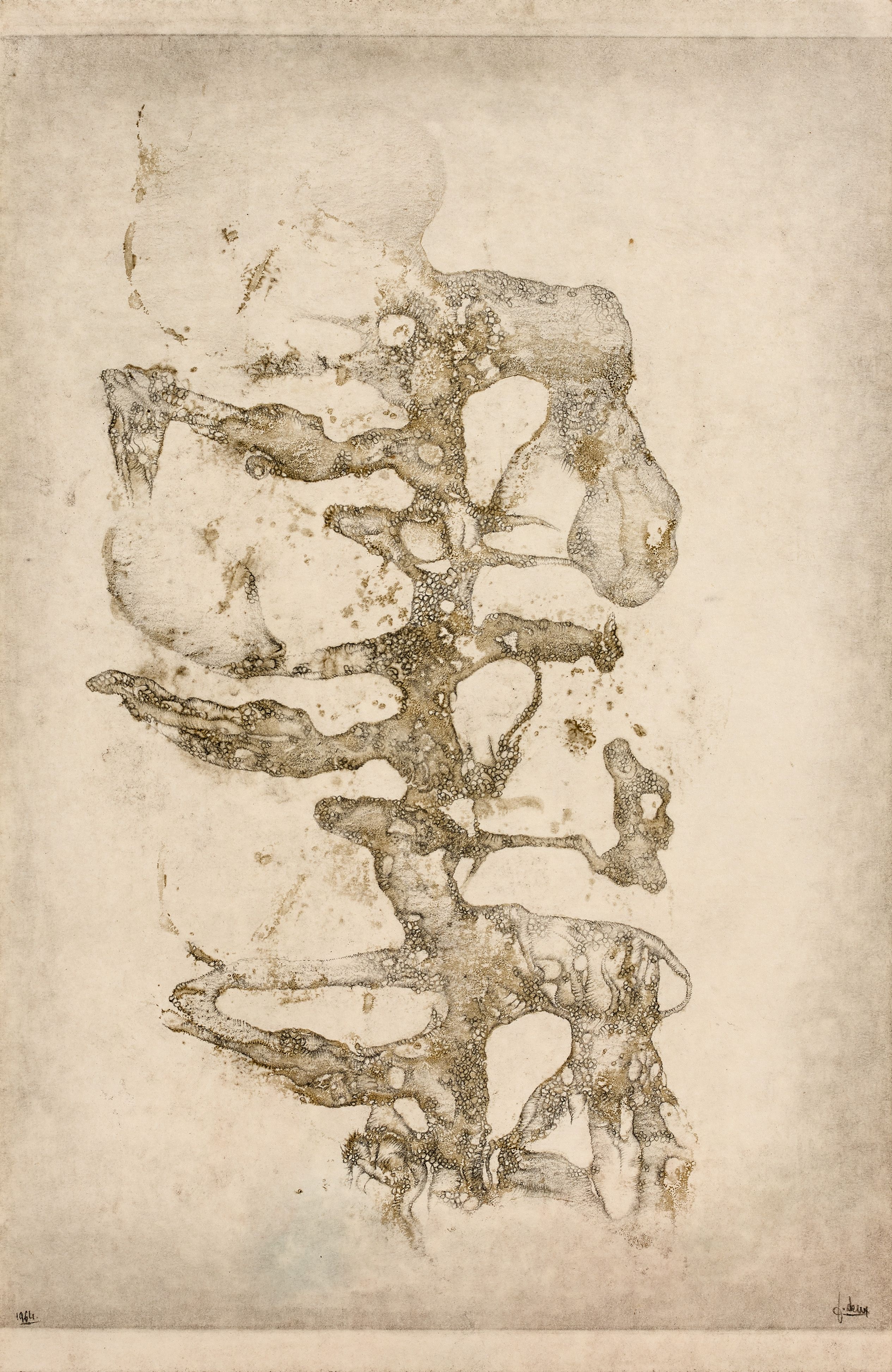 Loaded image