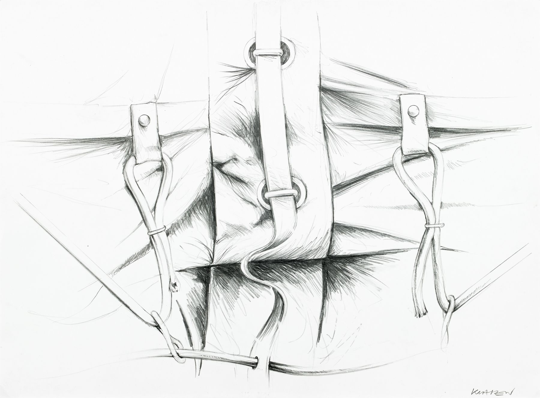 Loaded image