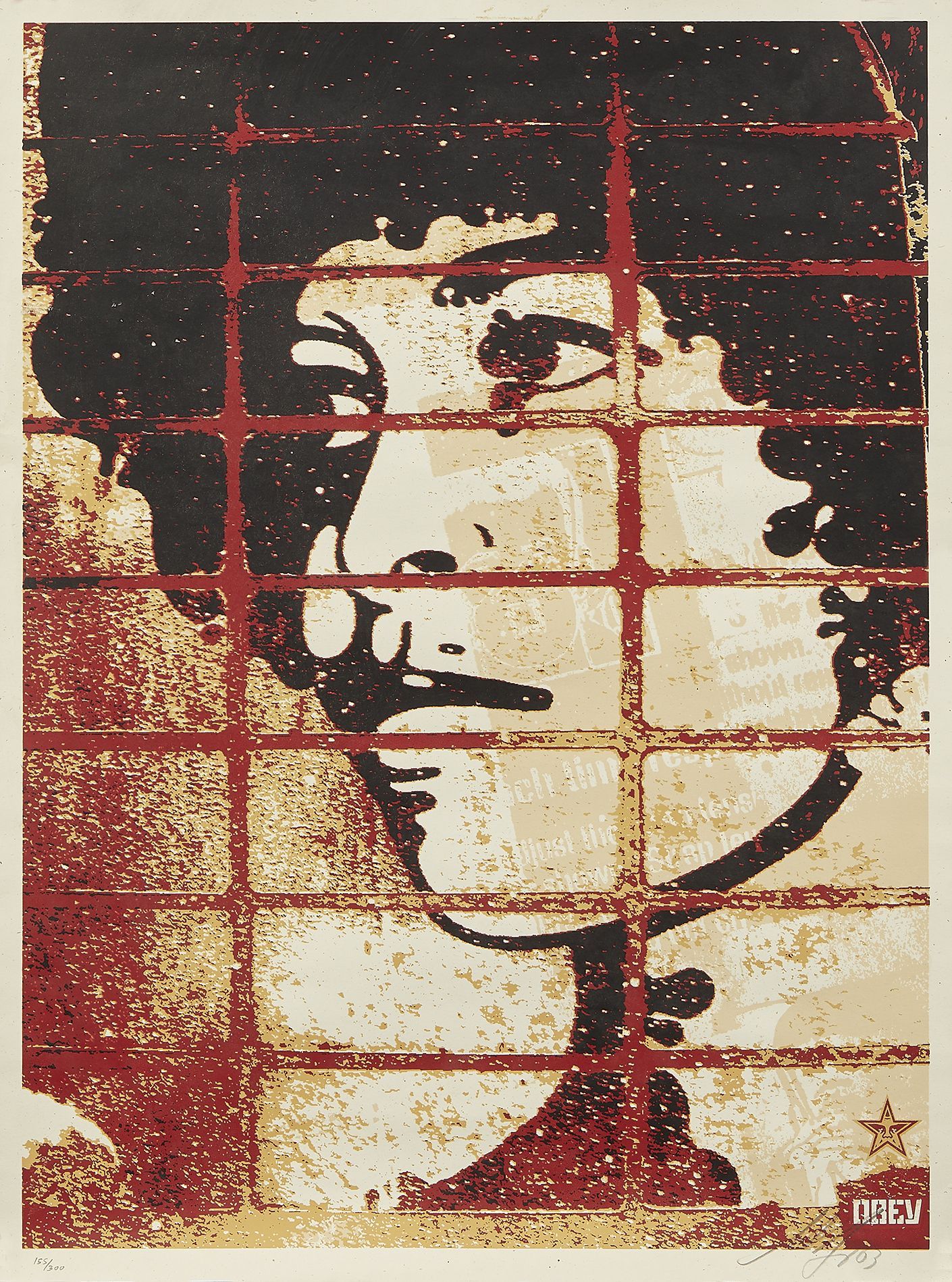 Loaded image