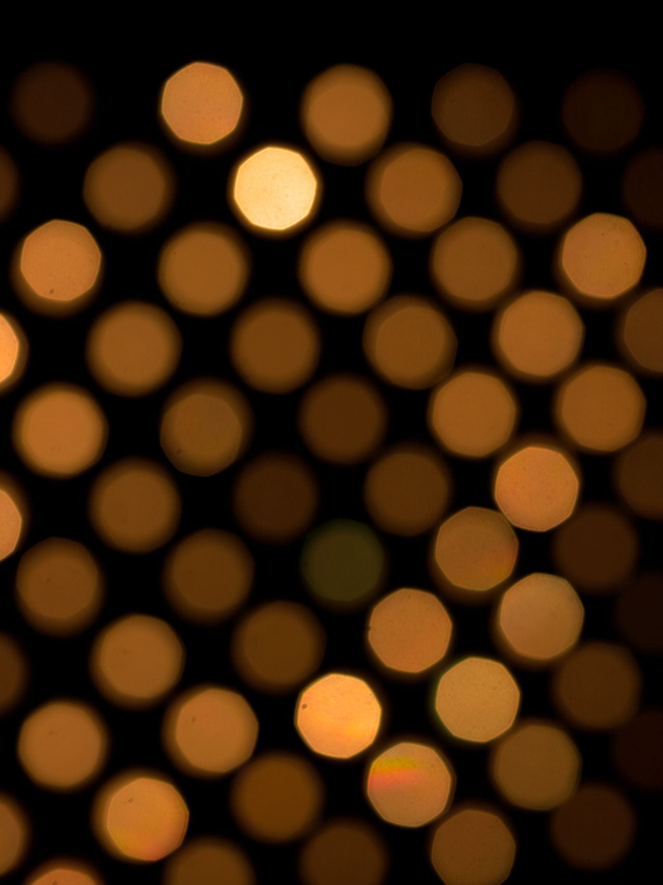 Loaded image