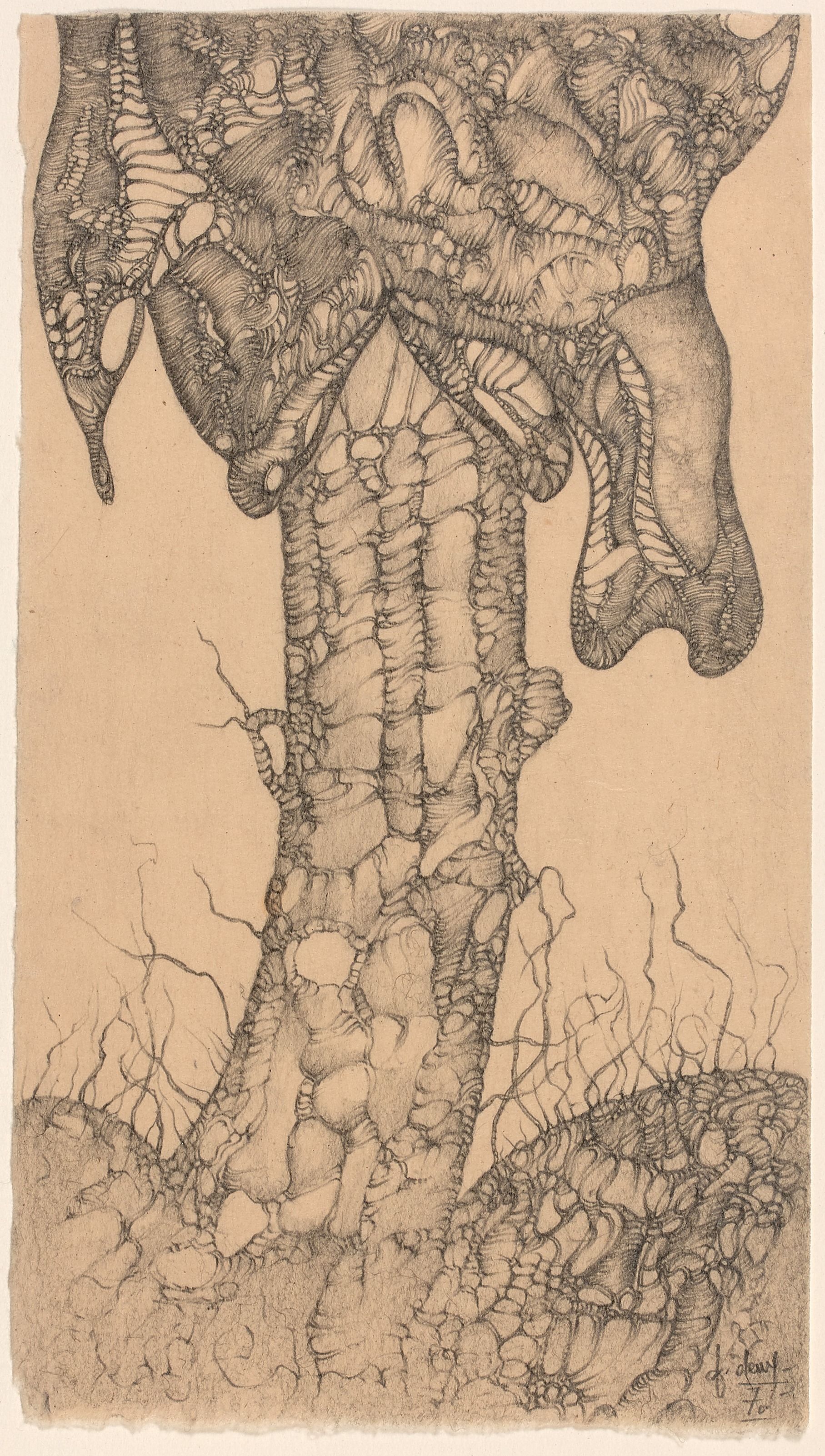 Loaded image