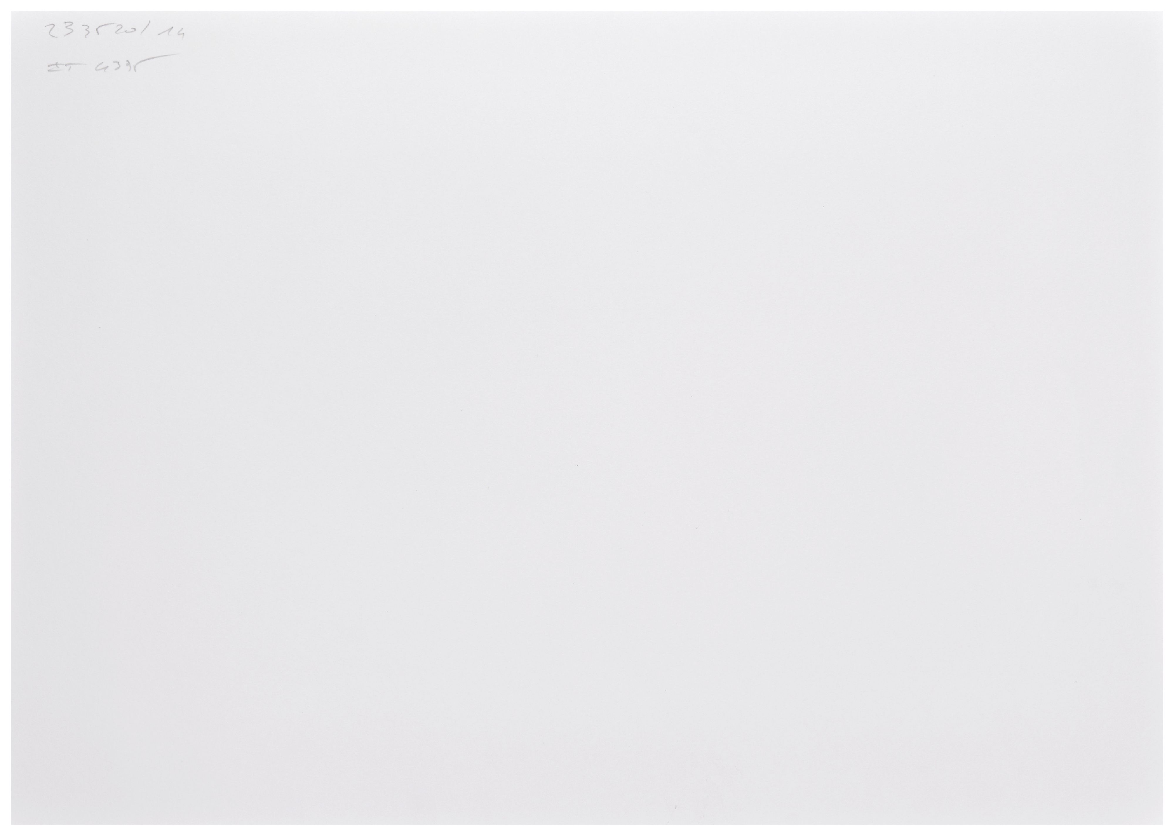 Loaded image