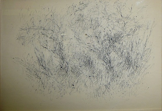 Loaded image