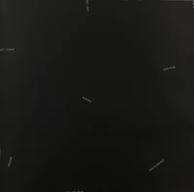Loaded image