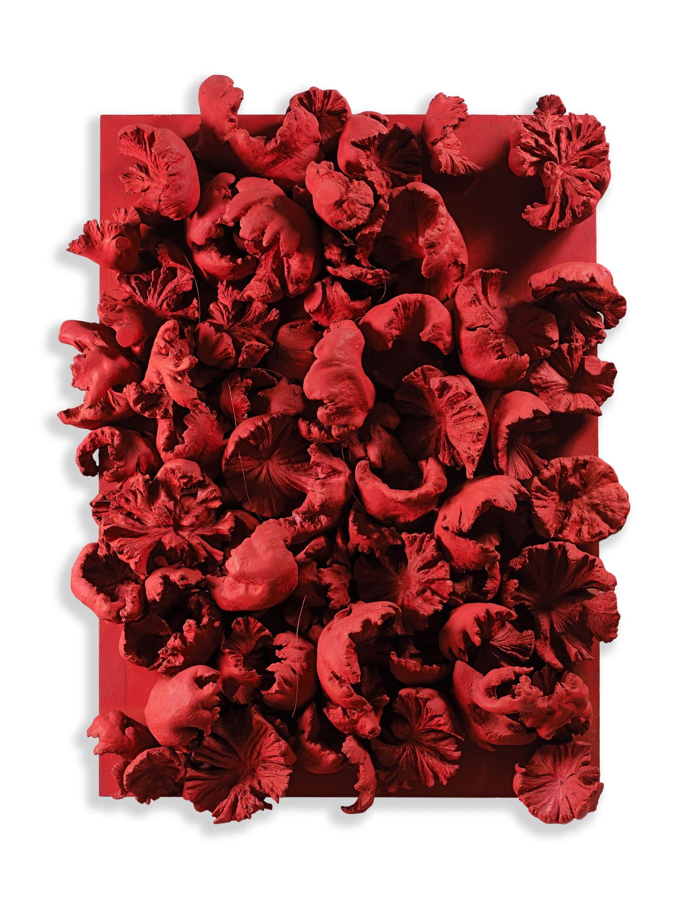 Loaded image