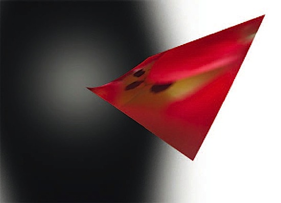 Loaded image