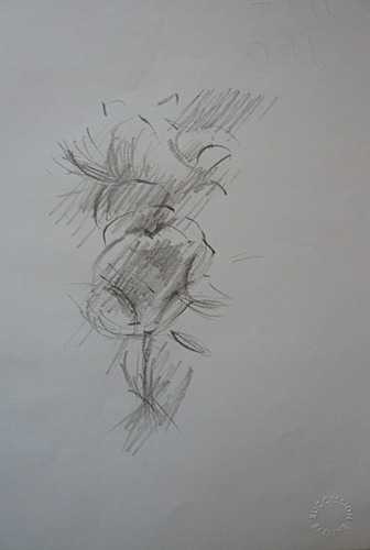 Loaded image
