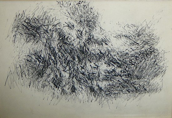 Loaded image