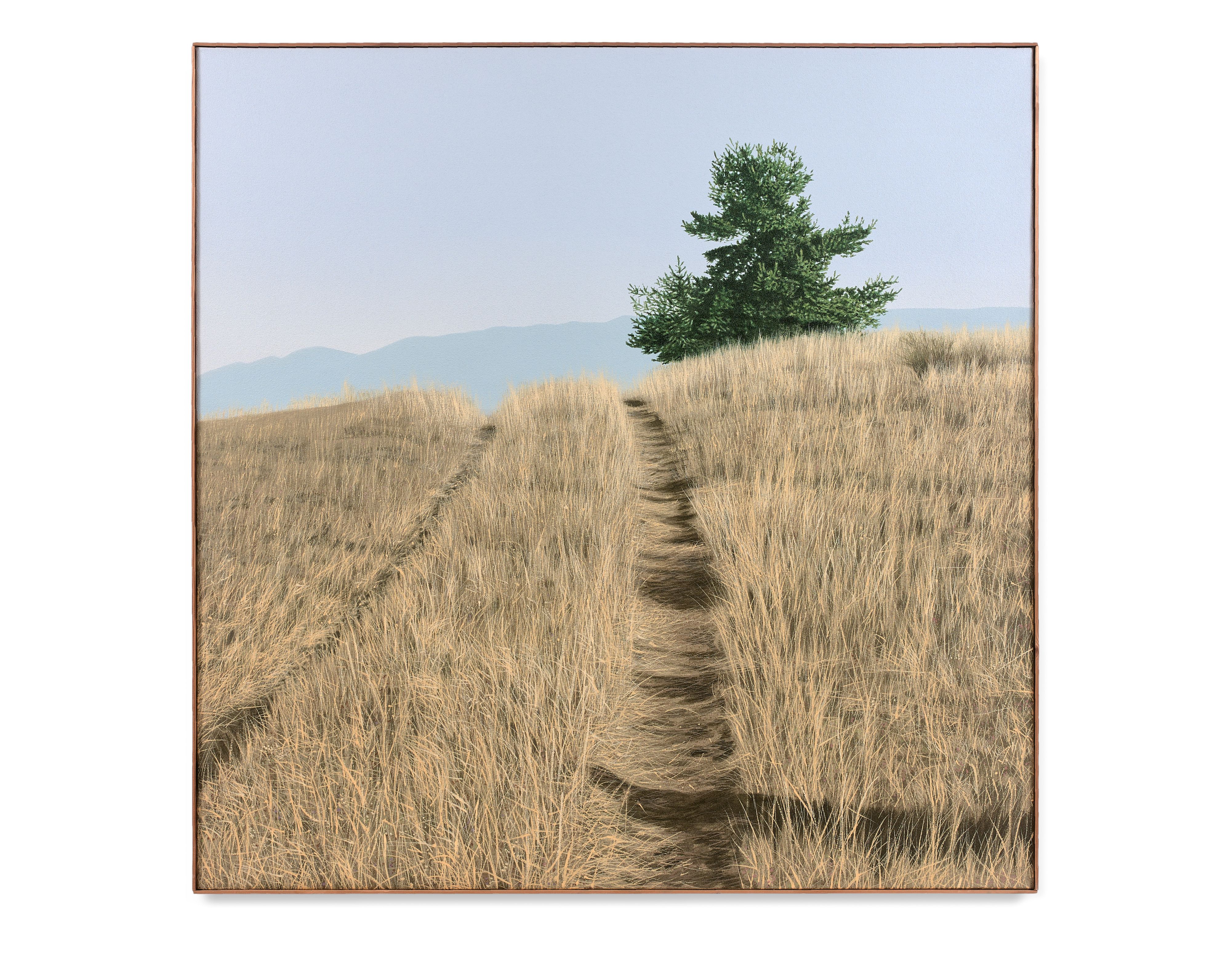 Loaded image