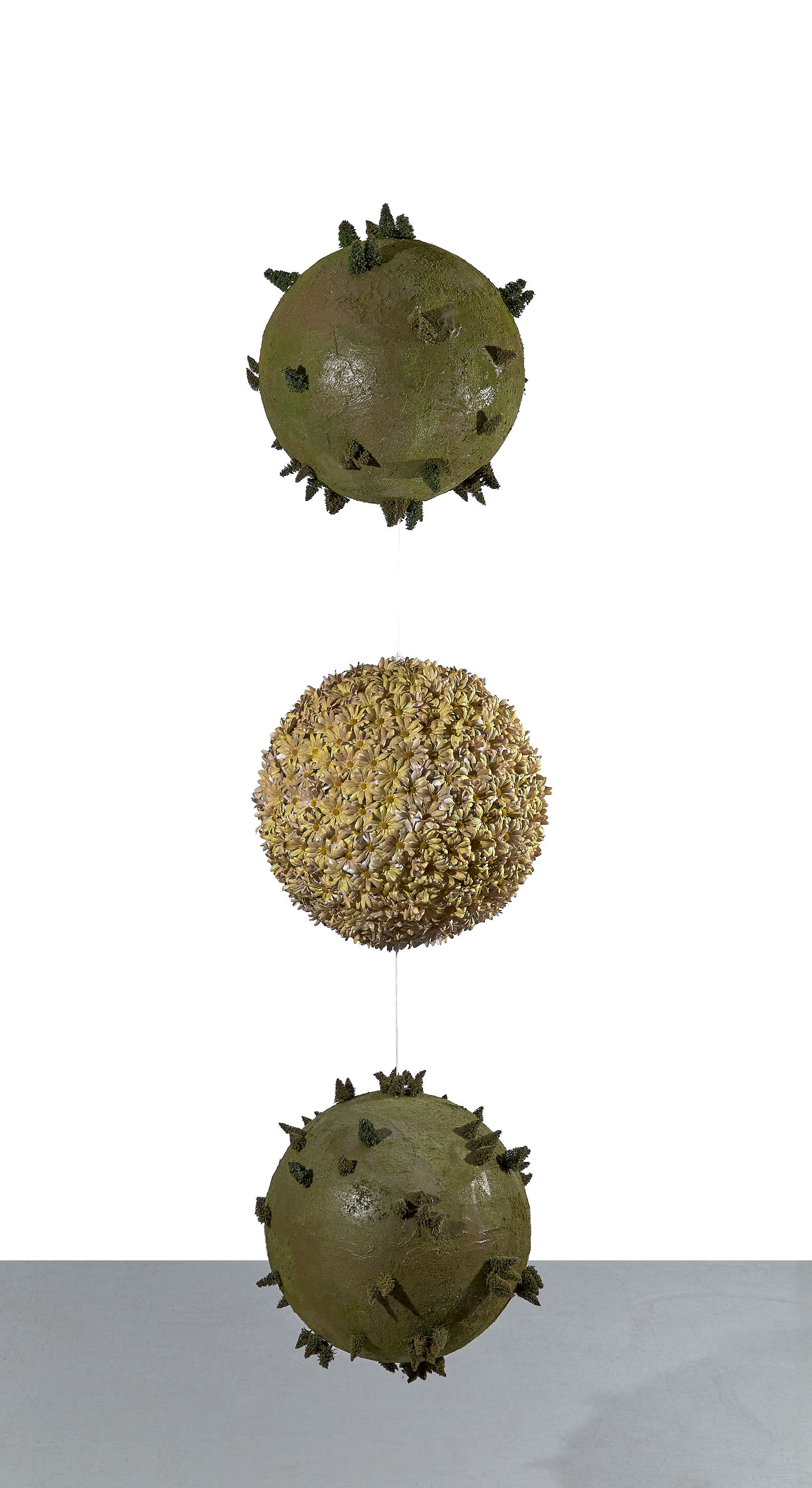 Loaded image