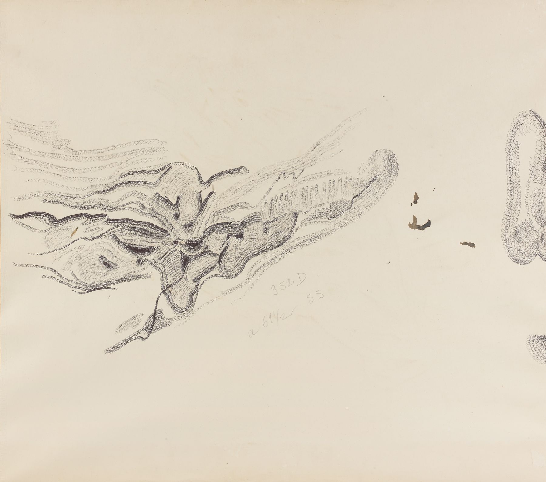 Loaded image