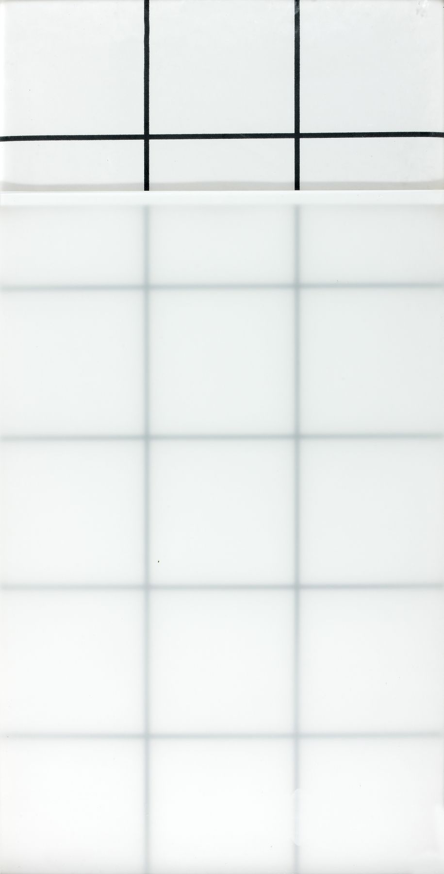 Loaded image