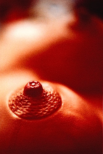 Loaded image