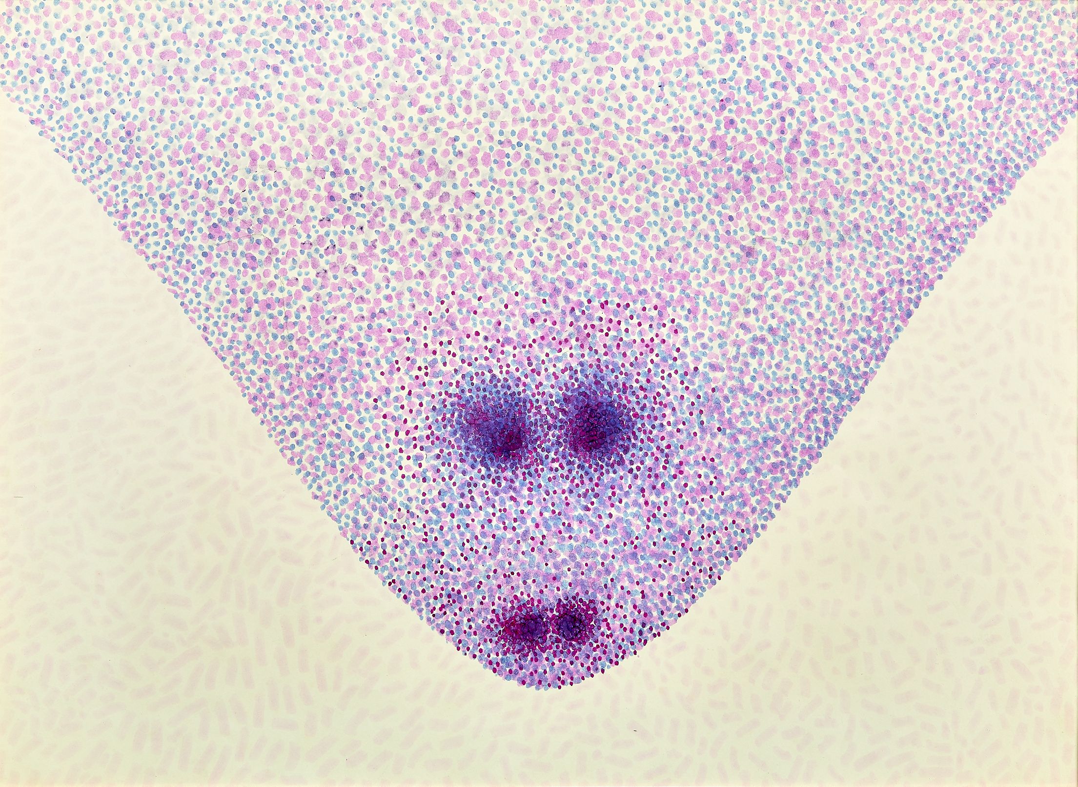 Loaded image