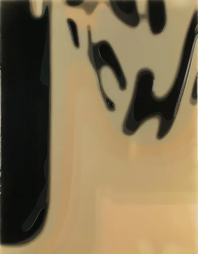 Loaded image