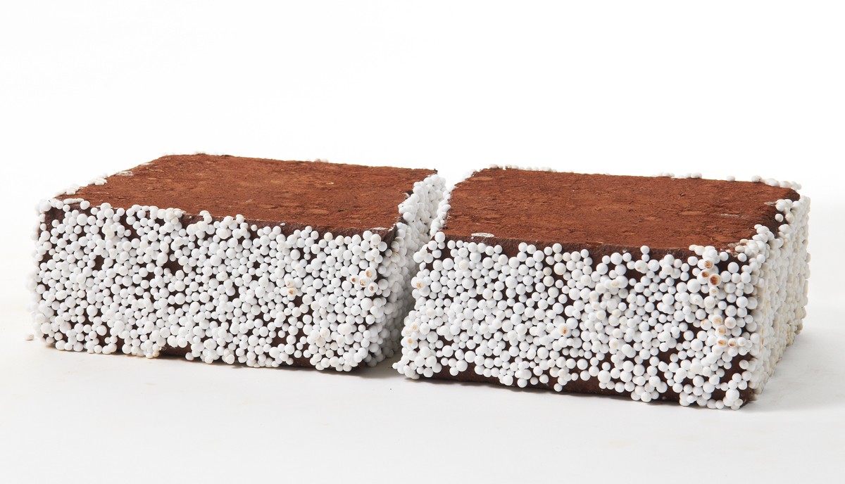 Loaded image