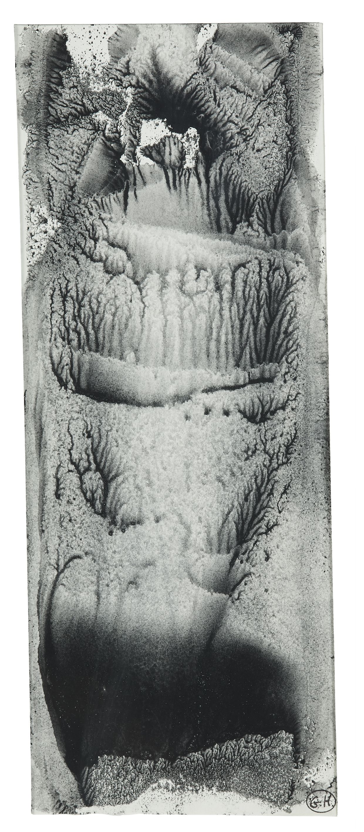 Loaded image