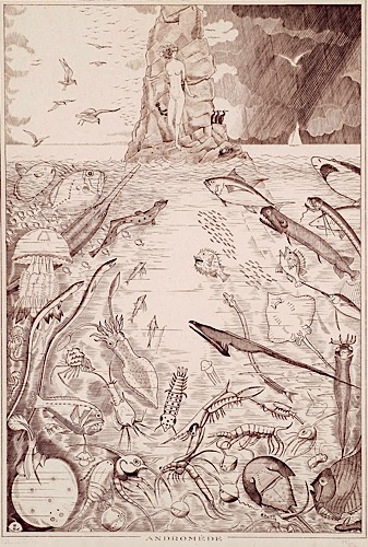 Loaded image