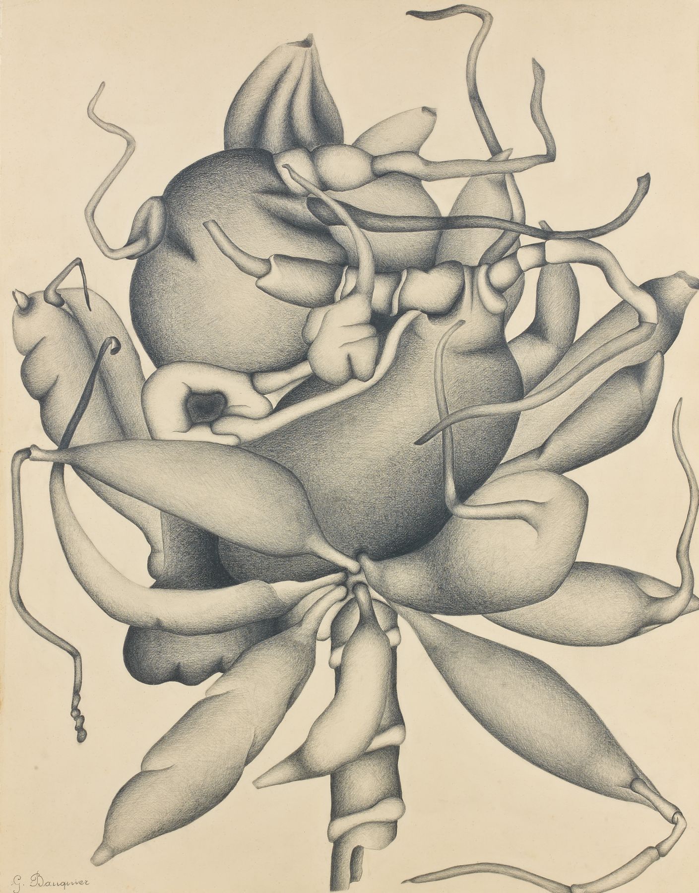 Loaded image