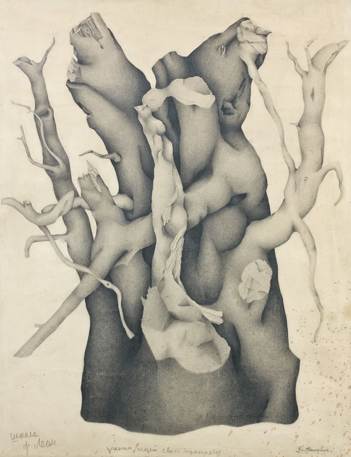 Loaded image