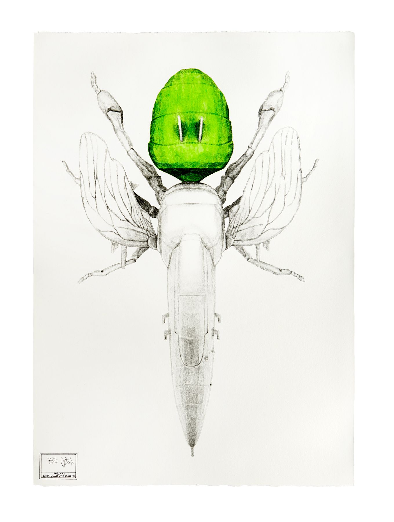 Loaded image