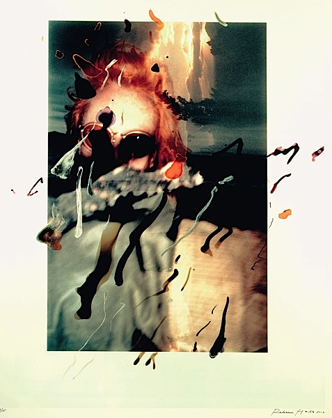 Loaded image