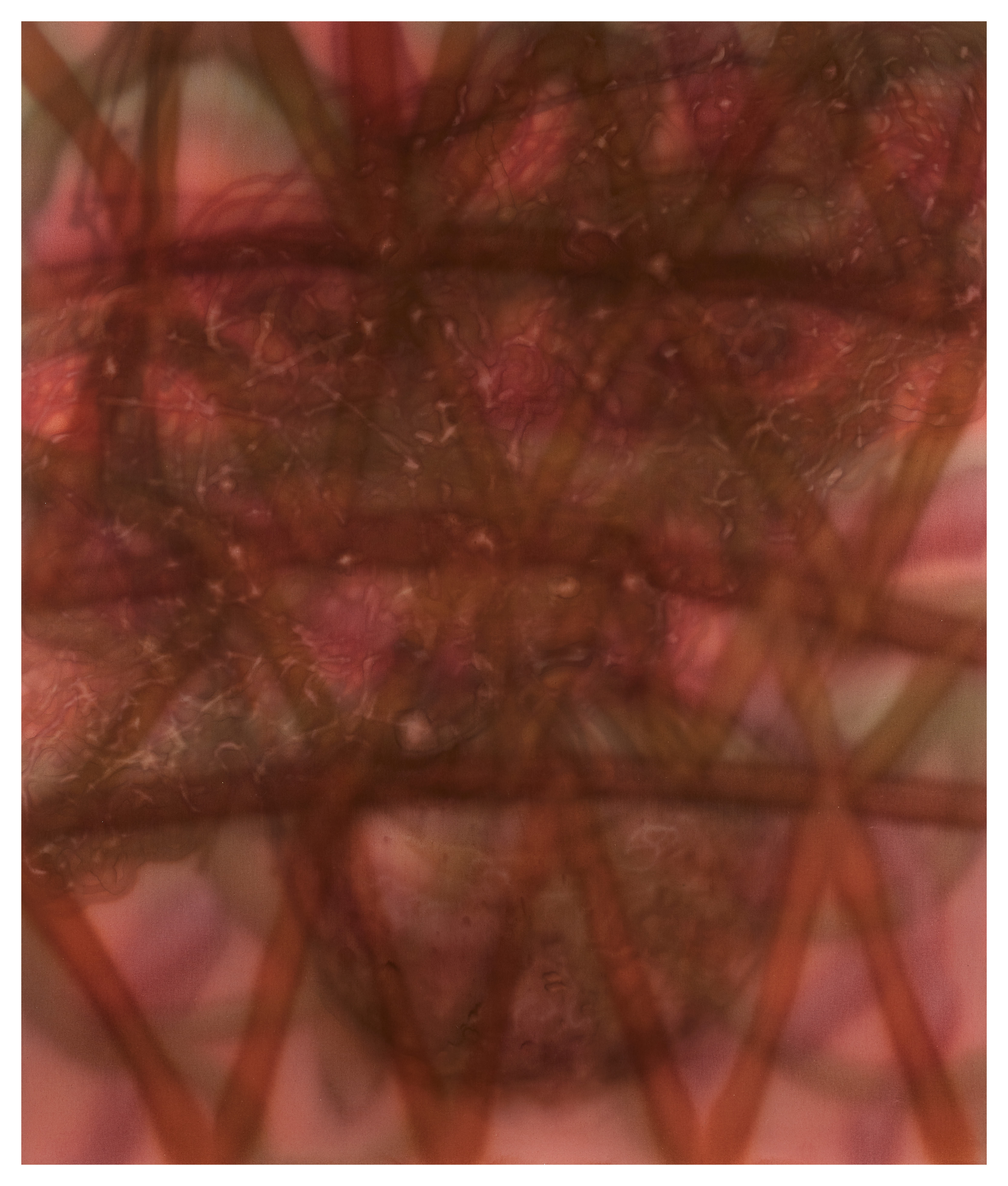 Loaded image