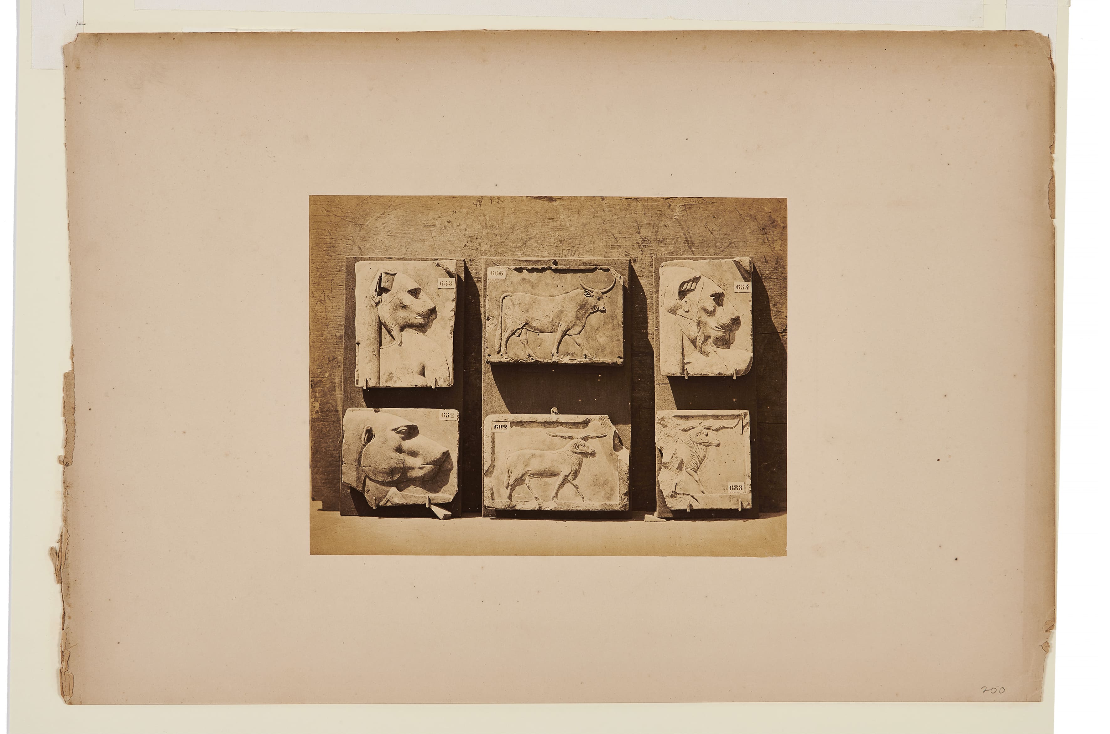 Loaded image